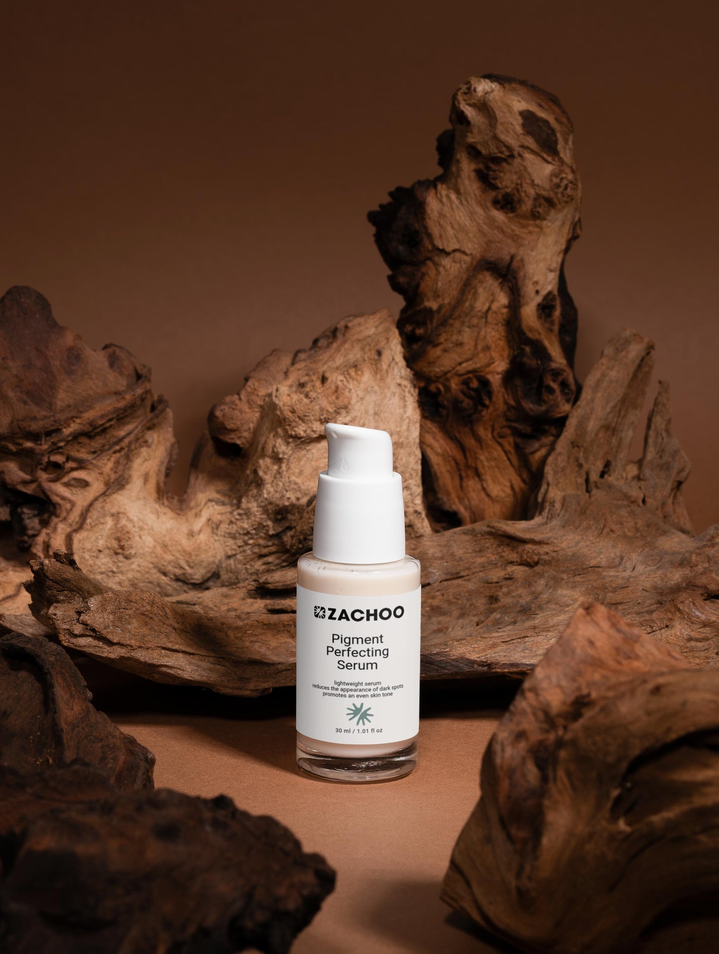 Sérum Perfecteur de Pigmentation – Alpha-Arbutine & Bidens Pilosa – Anti-Taches & Éclat – Certifié Ecocert – 30ml | Zachoo
