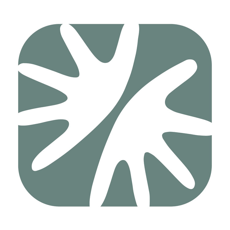 Logo zachoo